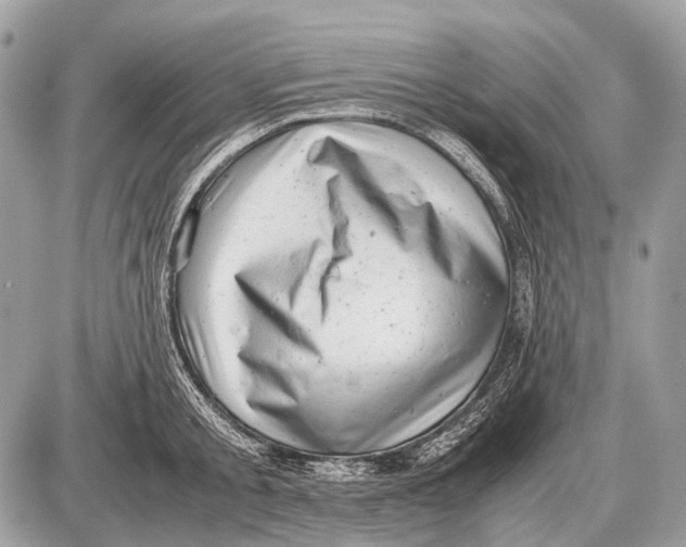 X0000087400805200705111824