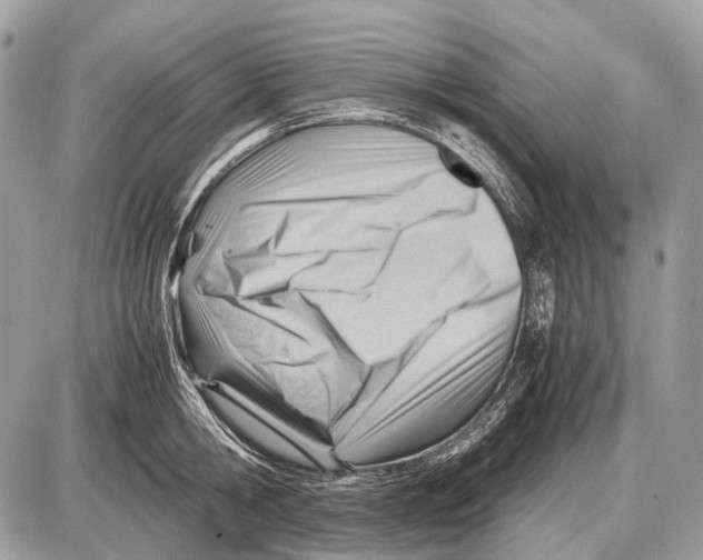 X0000087400806200705111824