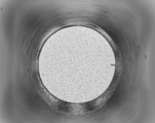 X0000087400807200705111824