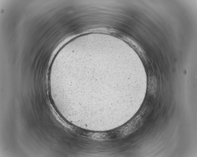 X0000087400808200705111824