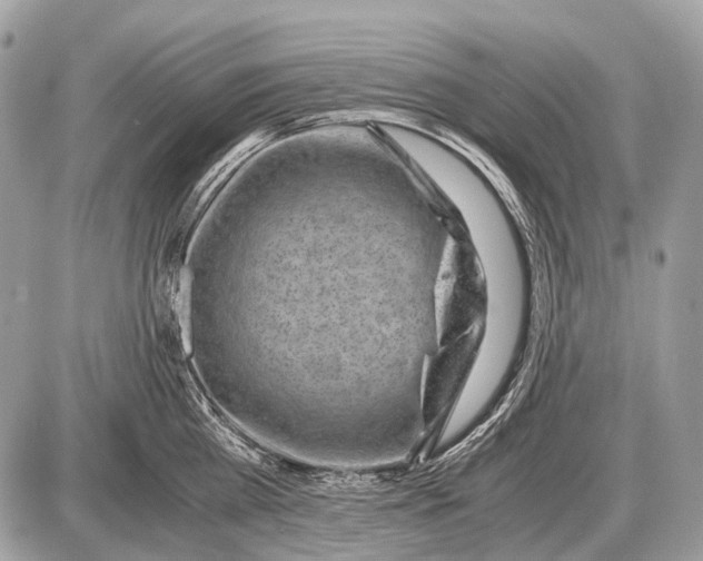 X0000087400809200705111824