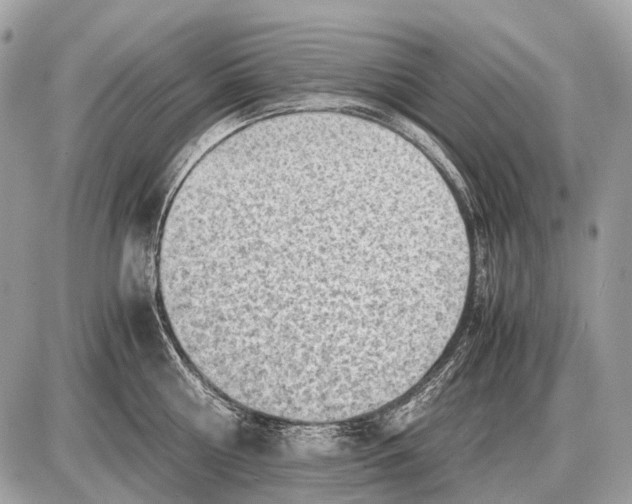 X0000087400810200705111824