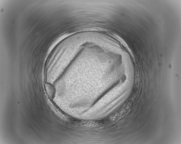 X0000087400811200705111824