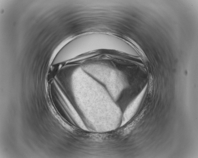 X0000087400812200705111824