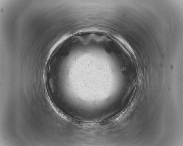 X0000087400813200705111824