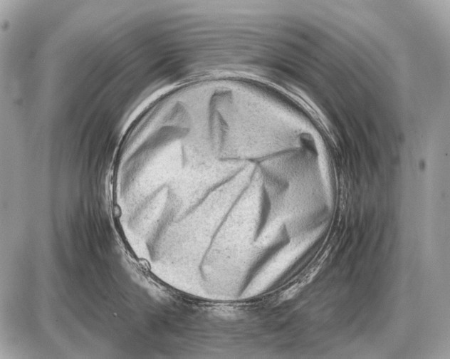 X0000087400814200705111824