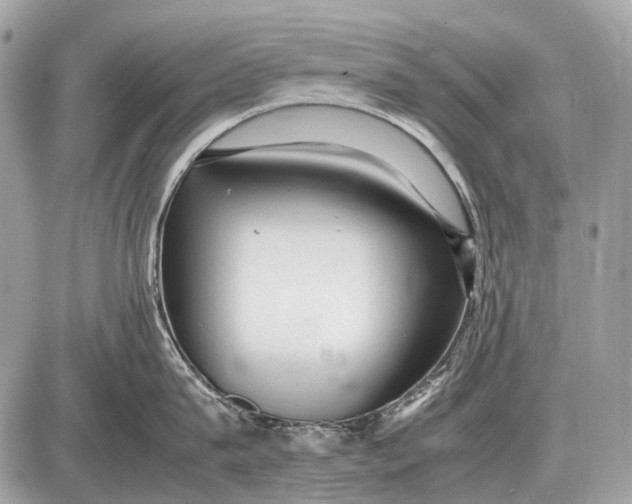 X0000087400815200705111824