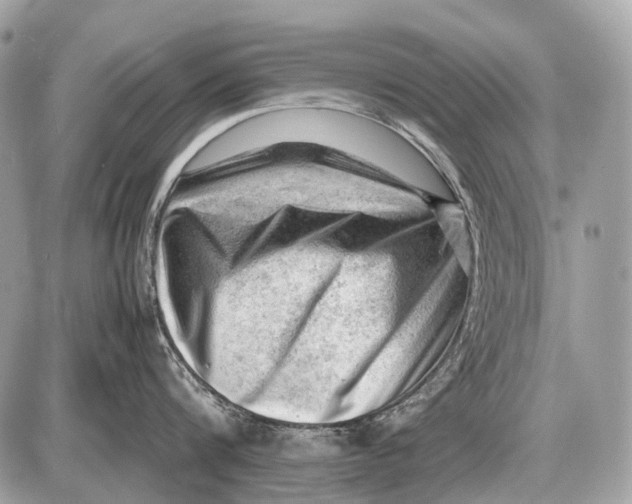 X0000087400816200705111824