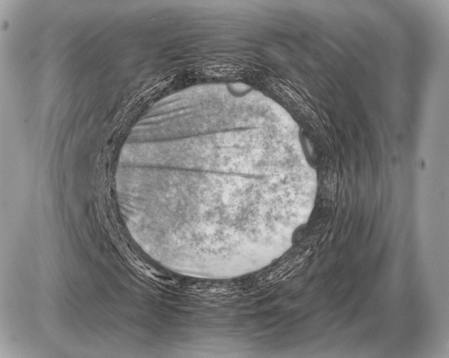 X0000087400817200705111823