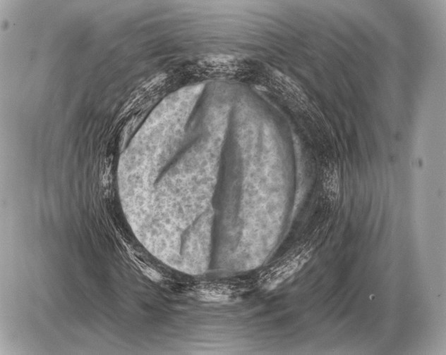 X0000087400818200705111823