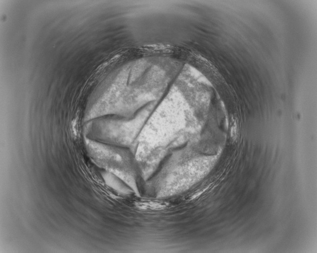 X0000087400819200705111823