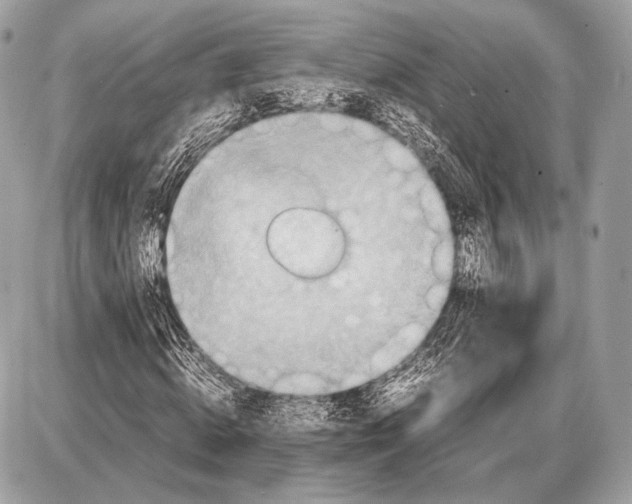 X0000087400820200705111823