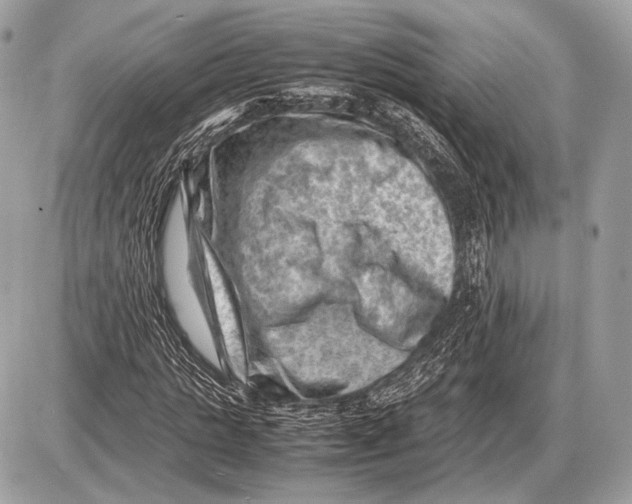 X0000087400821200705111823