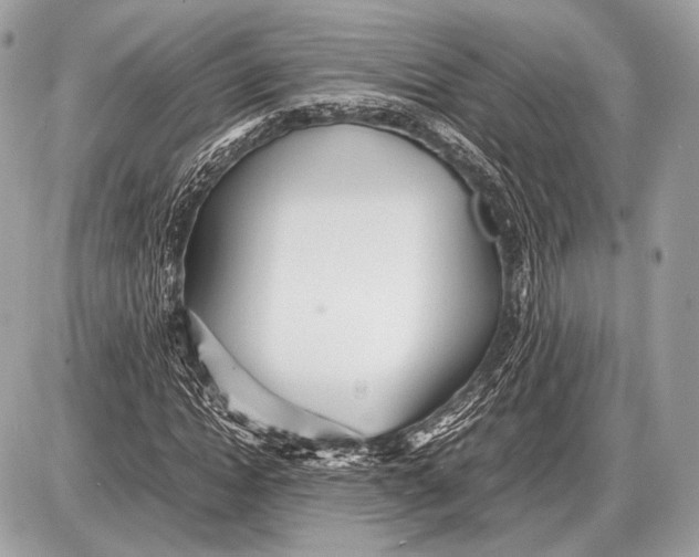 X0000087400822200705111823