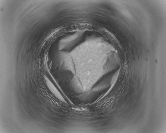 X0000087400823200705111823