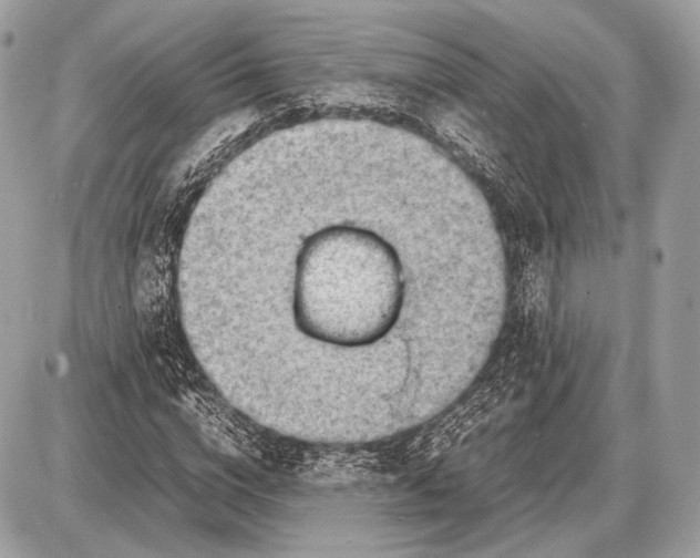 X0000087400824200705111823