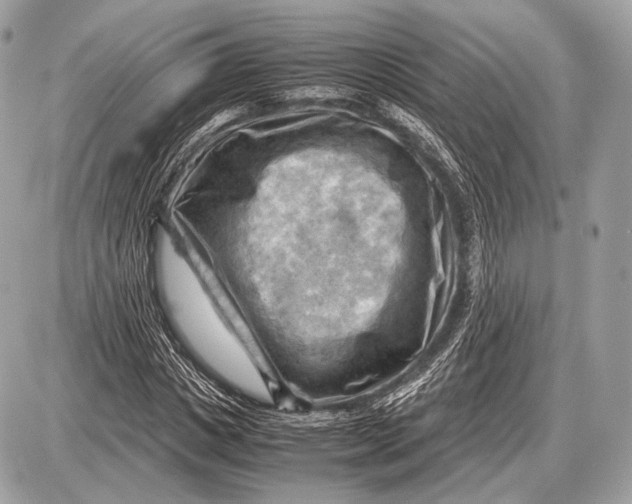 X0000087400825200705111823