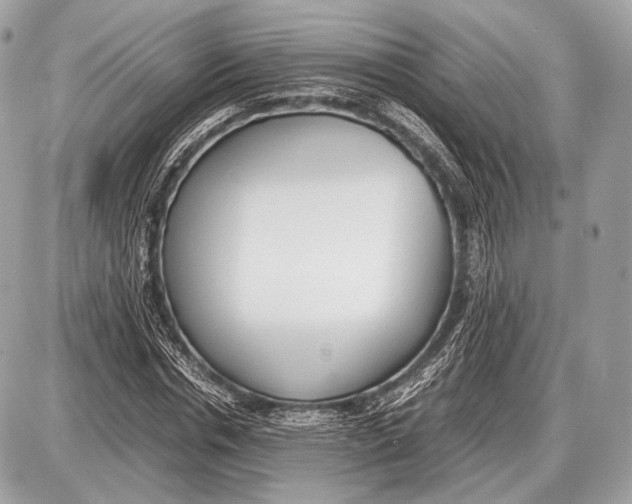 X0000087400826200705111823