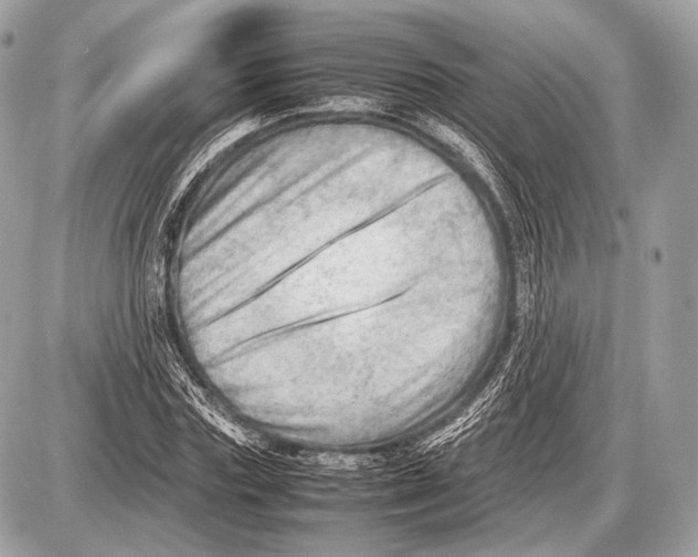 X0000087400827200705111823