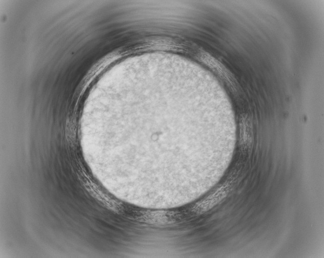 X0000087400828200705111823