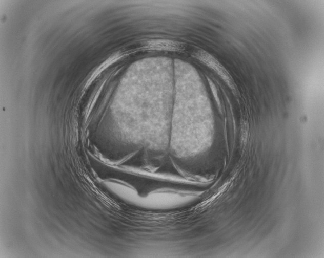 X0000087400829200705111823