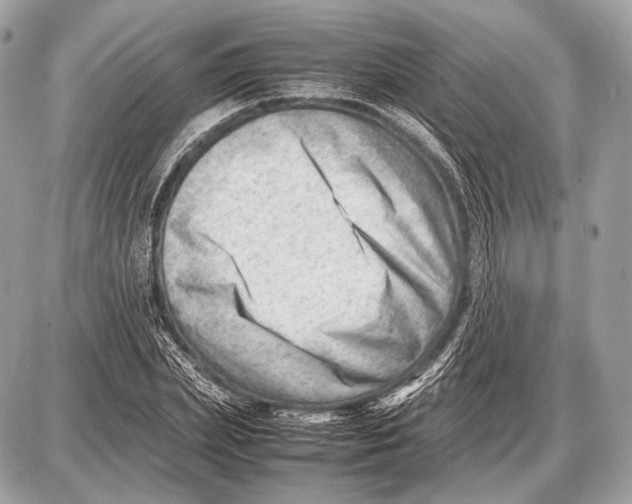 X0000087400831200705111823