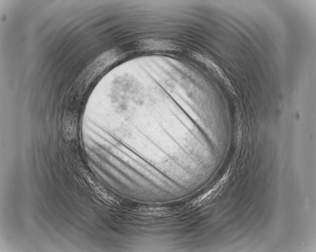 X0000087400833200705111823