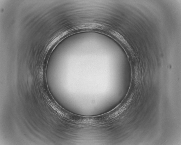 X0000087400834200705111823