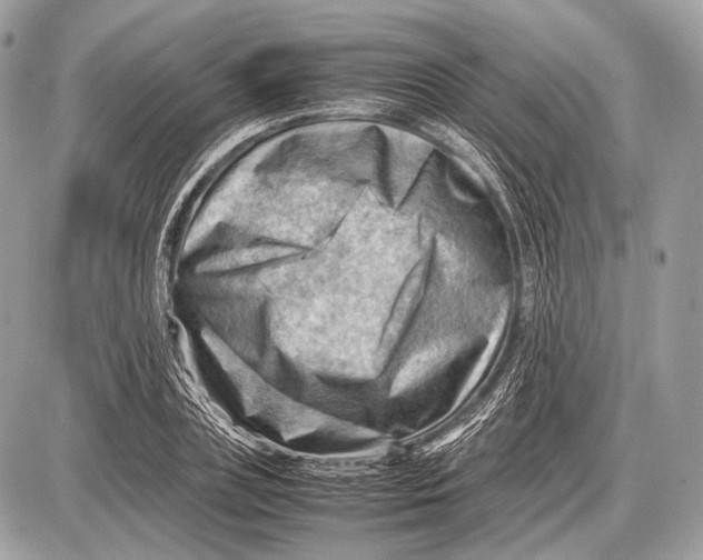 X0000087400835200705111823