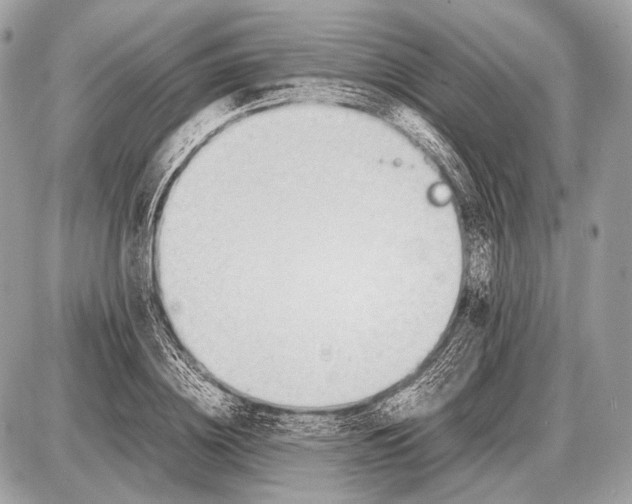 X0000087400836200705111823