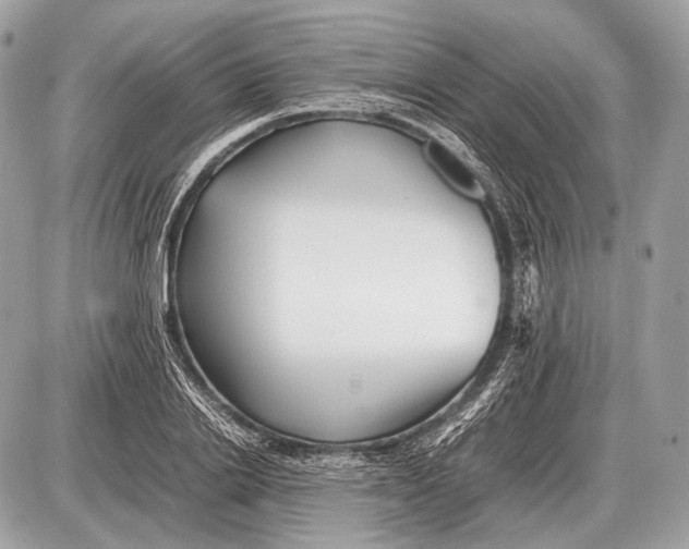 X0000087400838200705111824