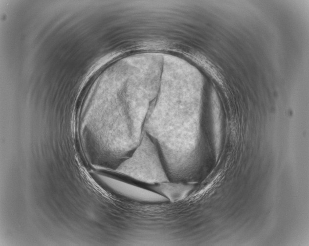 X0000087400839200705111824