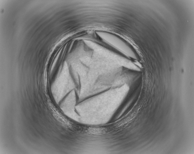 X0000087400840200705111824