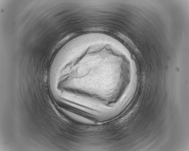 X0000087400841200705111824