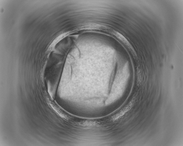 X0000087400842200705111824