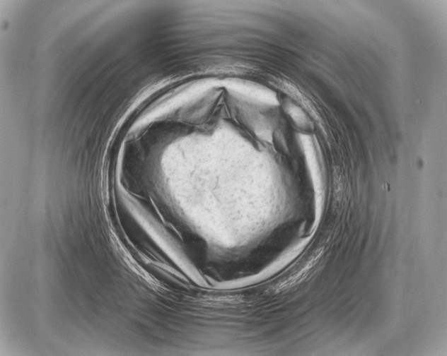 X0000087400843200705111824