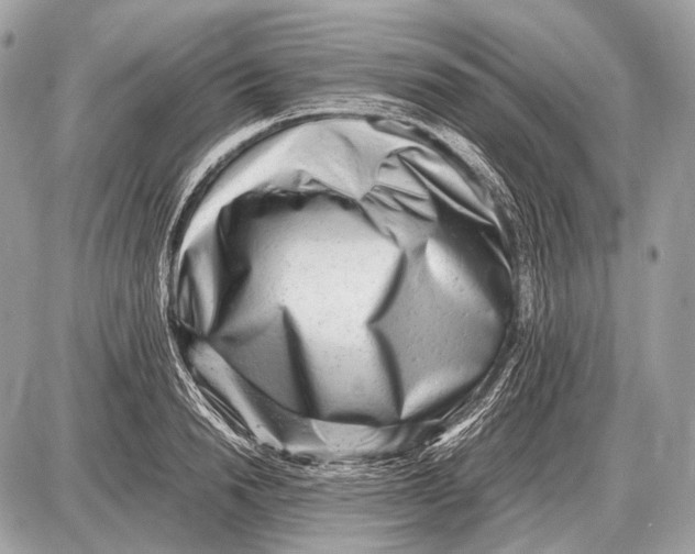 X0000087400846200705111824