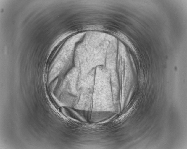 X0000087400847200705111824