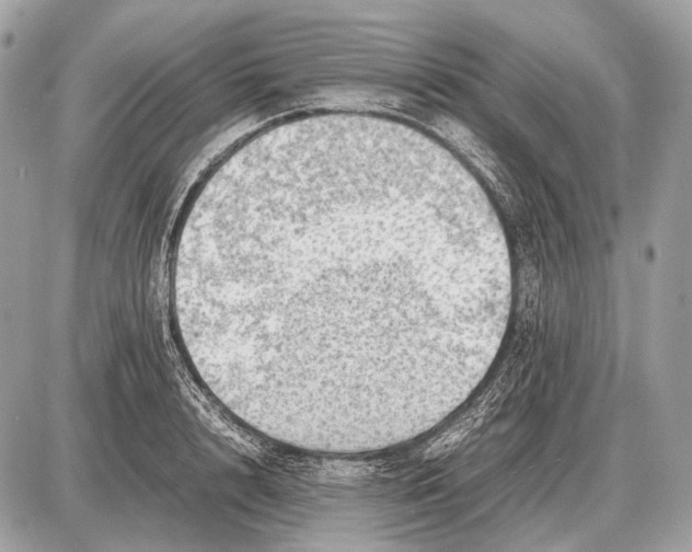 X0000087400848200705111824