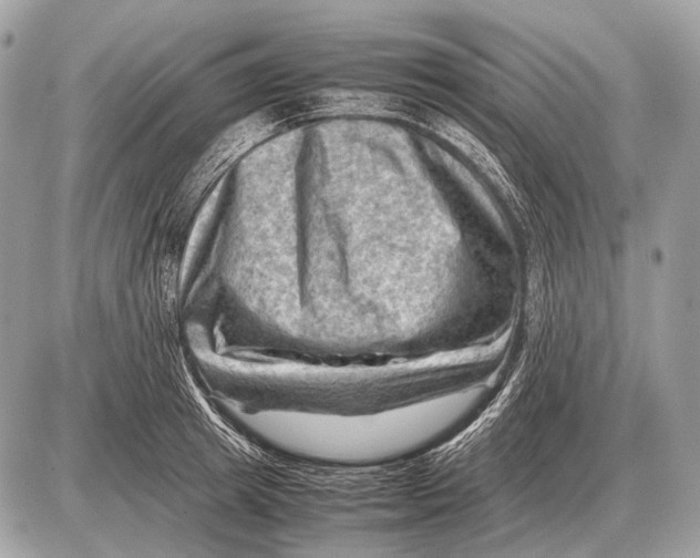 X0000087400849200705111824