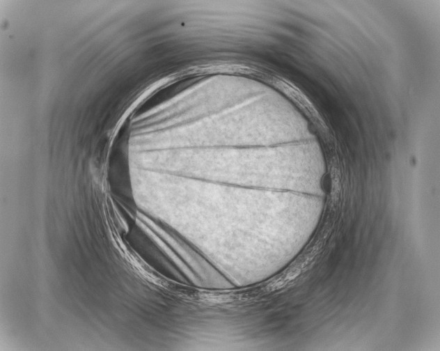 X0000087400852200705111824