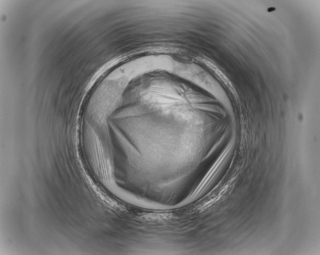 X0000087400853200705111824