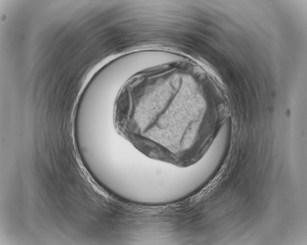 X0000087400854200705111824