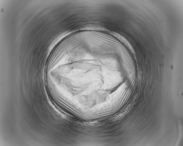 X0000087400855200705111824