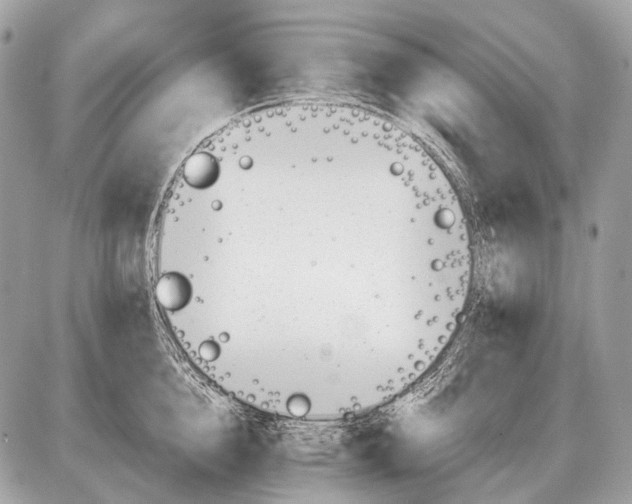 X0000087400856200705111824