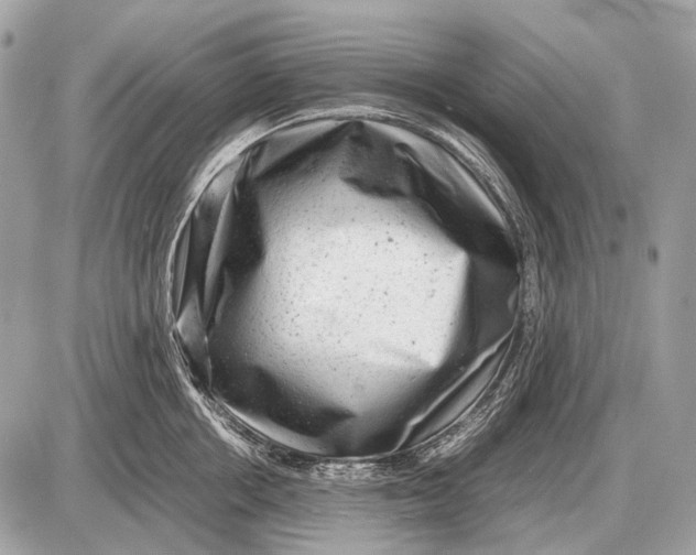 X0000087400858200705111824