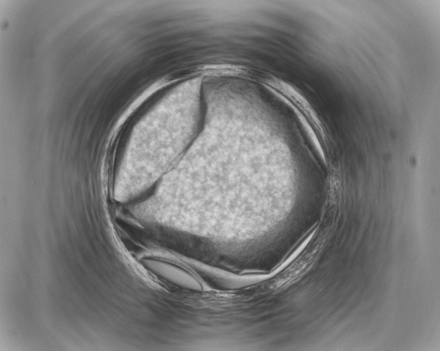 X0000087400859200705111824