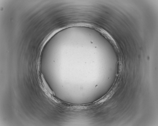 X0000087400860200705111824