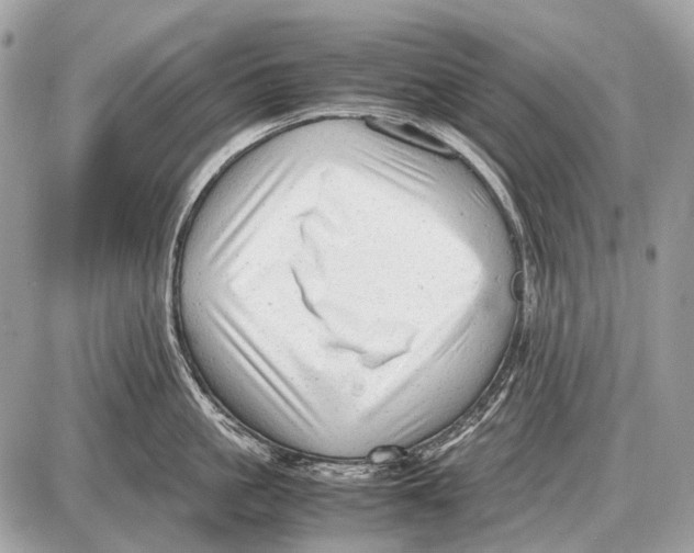 X0000087400861200705111824