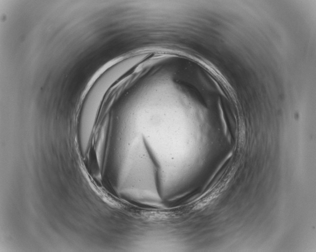 X0000087400862200705111824